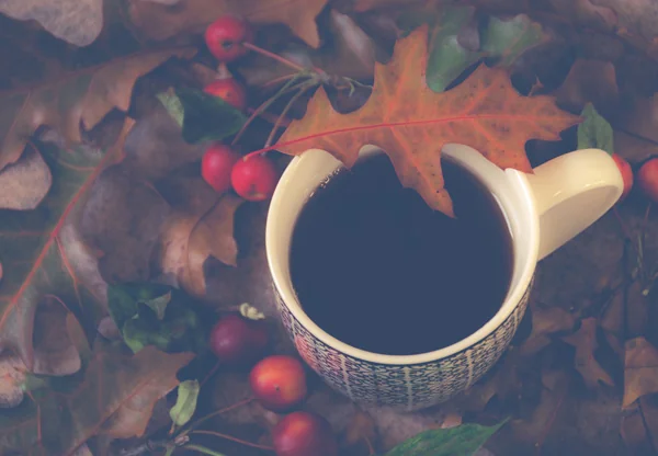 Skydimo Script Geliştirme Tam Kılavuzu
- Skydimo blog kapak görseli